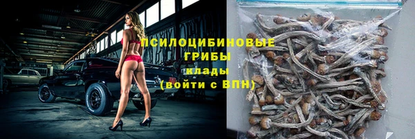 скорость Алзамай
