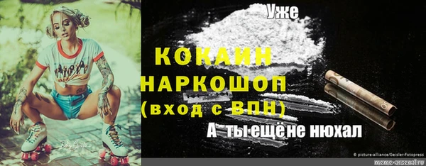 скорость Алзамай