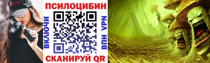 Галлюциногенные грибы GOLDEN TEACHER  Порхов 